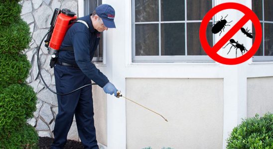 Kadıköy Böcek İlaçlama böcek ilaçlama ve haşere kontrolü — ilaclama-tr.com
